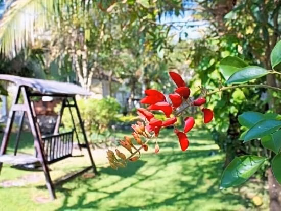 Champa Resort & Spa