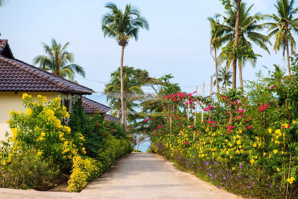 Camia Resort & Spa