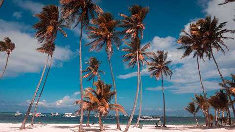 7 n. poilsis Dominikoje: 5★ Serenade Punta Cana Beach & Spa Resort viešbutis su viskas įskaičiuota vos už