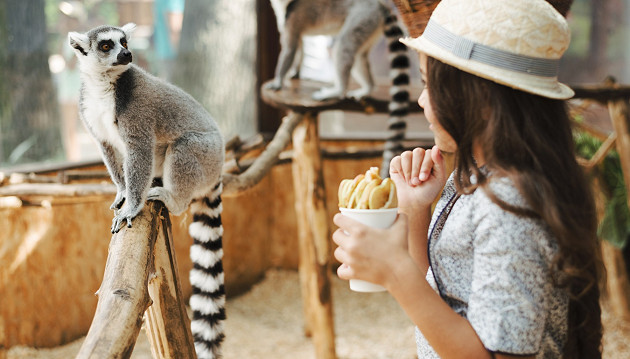 Berlynas su vaikais: nuotykiai Zoo parke ir viešnagė 4★ viešbutyje Best Western Hotel Kantstrasse Berlin su pusryčiais nuo 368€ 380€