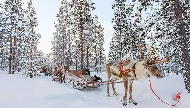 Pažintinė kelionė autobusu: Kalėdų senelio gimtinė - Laplandija už 559€