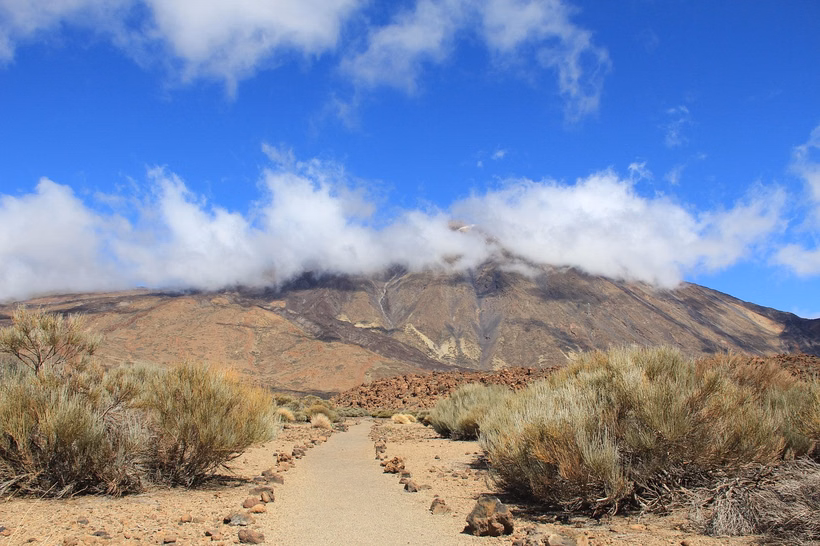 Tenerifė, Ispanija